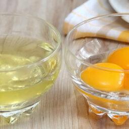 Putih telur dan kuning telur dalam wadah mangkuk.
