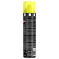 TRESemmé Instant Refresh Cleansing Dry Shampoo_back image_250ml_product image