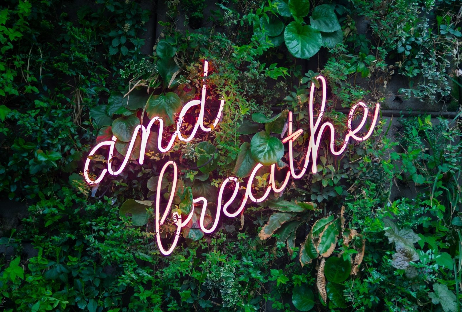 pink neon words that spell "and breathe" on a background of green leaves