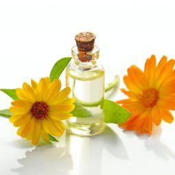 óleo em frasco co flores