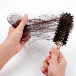 muitos fios de cabelo sendo puxados da escova por uma mão