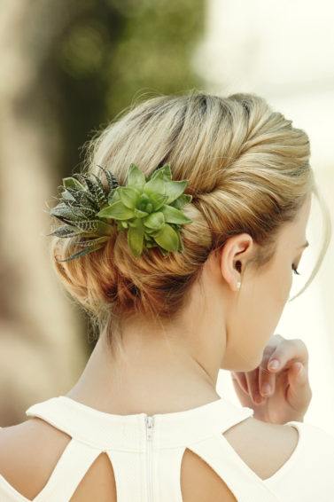 succulent hair how to