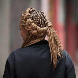 halo braid with box braids: back view