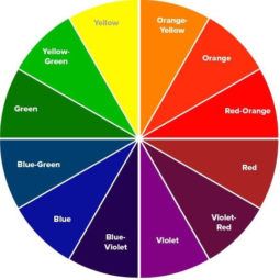 Hair Color Chart: How It Applies to Your Hair | All Things Hair US