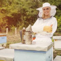 World bee day: beekeeper