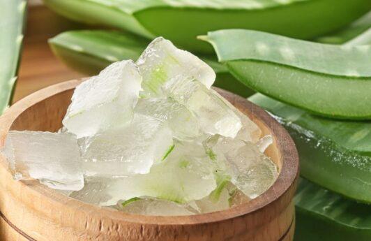 aloe vera in a wooden bowl surrounded by aloe vera leaves