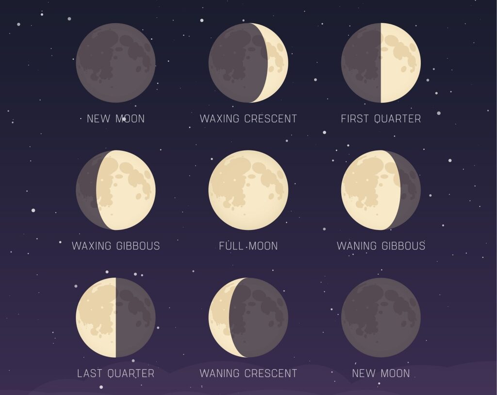 moon phase hair cutting chart