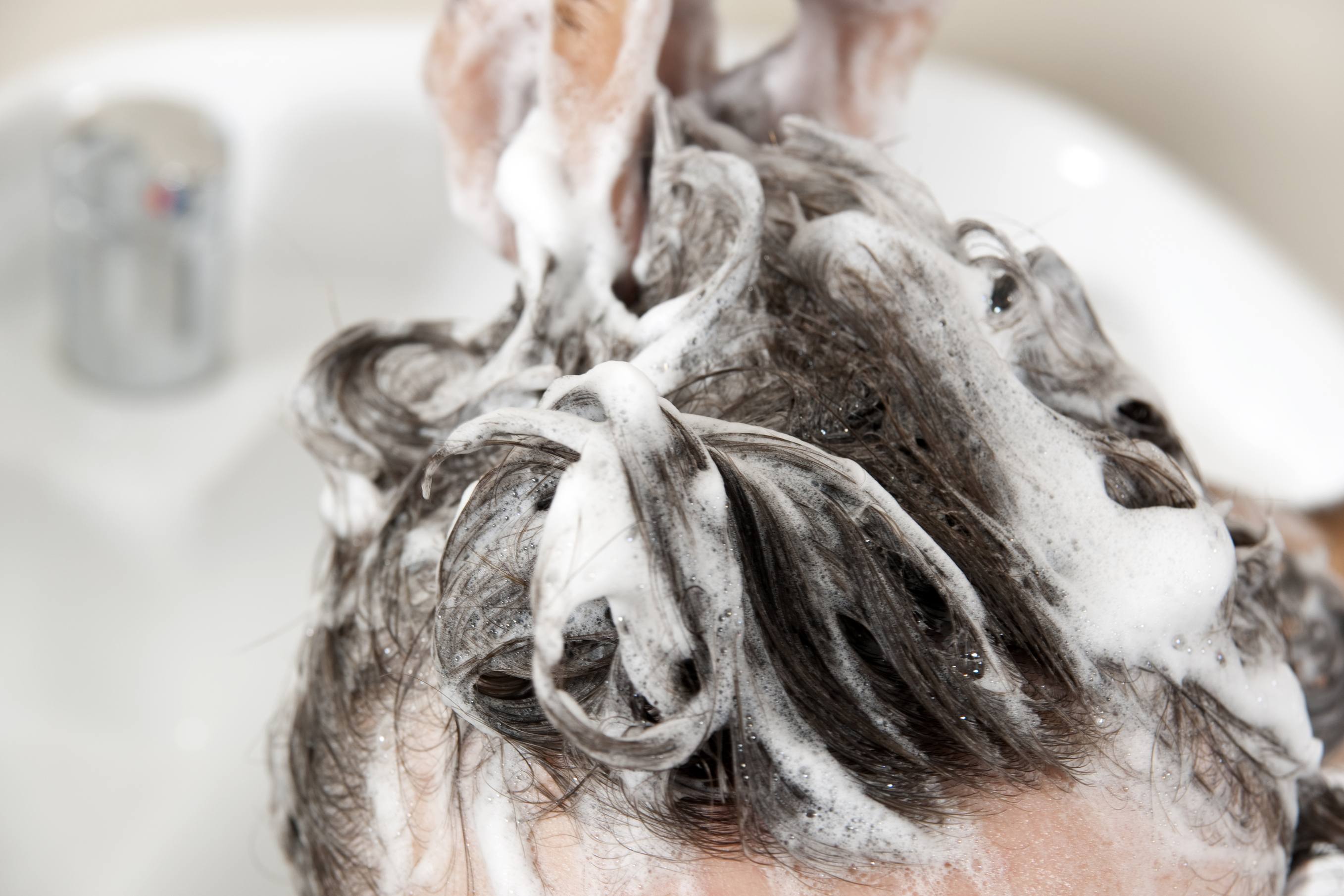 best mens shampoo for men