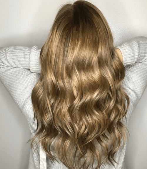 back view image of a woman with long honey blonde hair - blonde brown hair