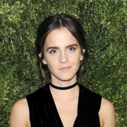 Emma Watson dark hair: All Things Hair - IMAGE - celebrity brunette hair updo