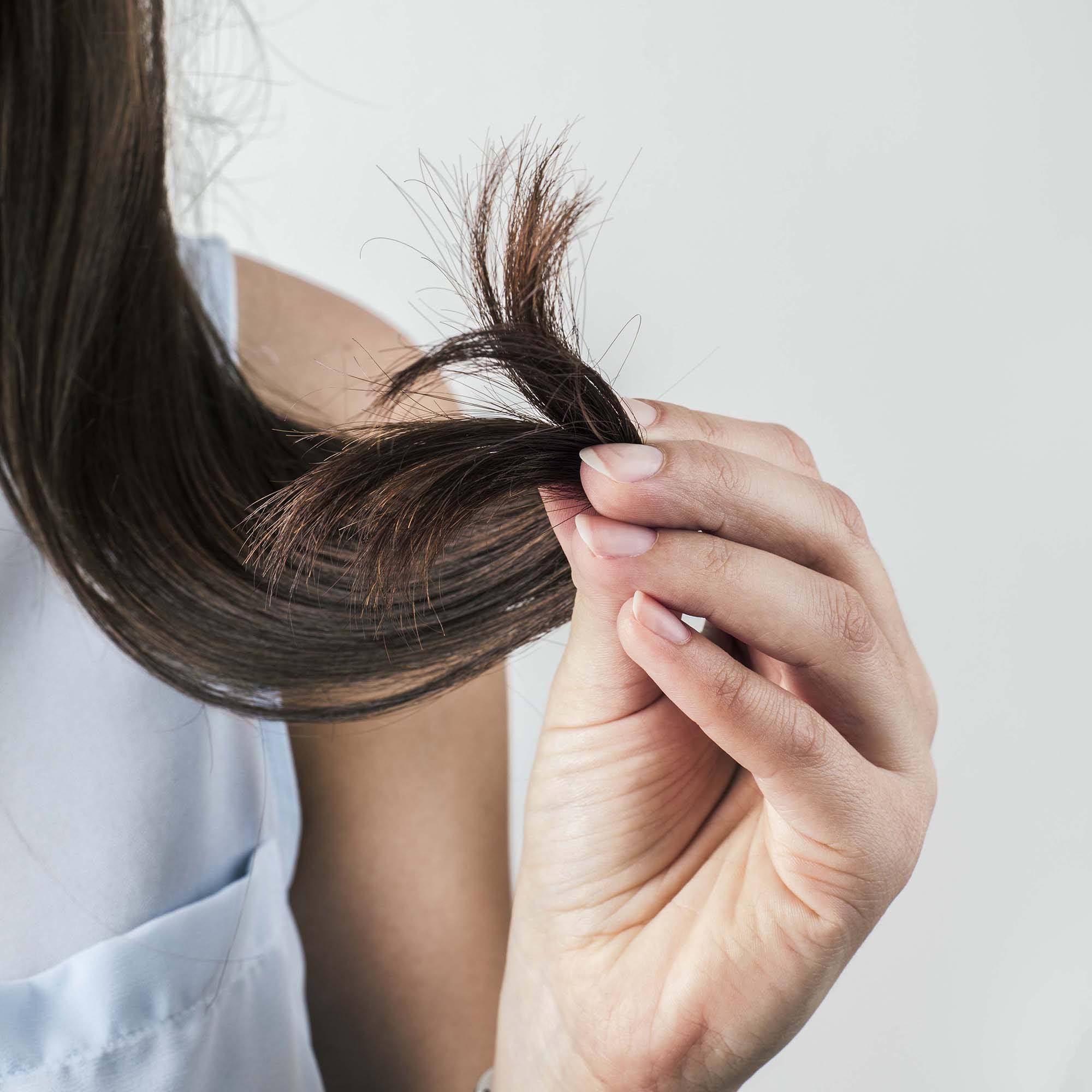 dry damaged hair: All Things Hair - split ends