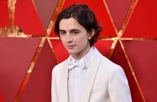close up shot of timothee chalamet with wavy flow hairstyle, wearing all white suit at the 90th Annual Academy awards