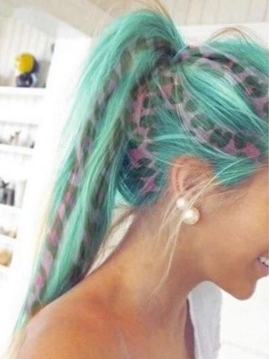 Colourful leopard print hair ponytail - Instagram