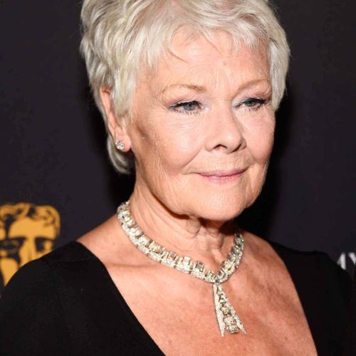 Judi Dench Hairstyles  17 Beautiful LowMaintenance Haircuts  Now   Then  Sophisticated Allure  Celebrity Hairstyles  Haircuts