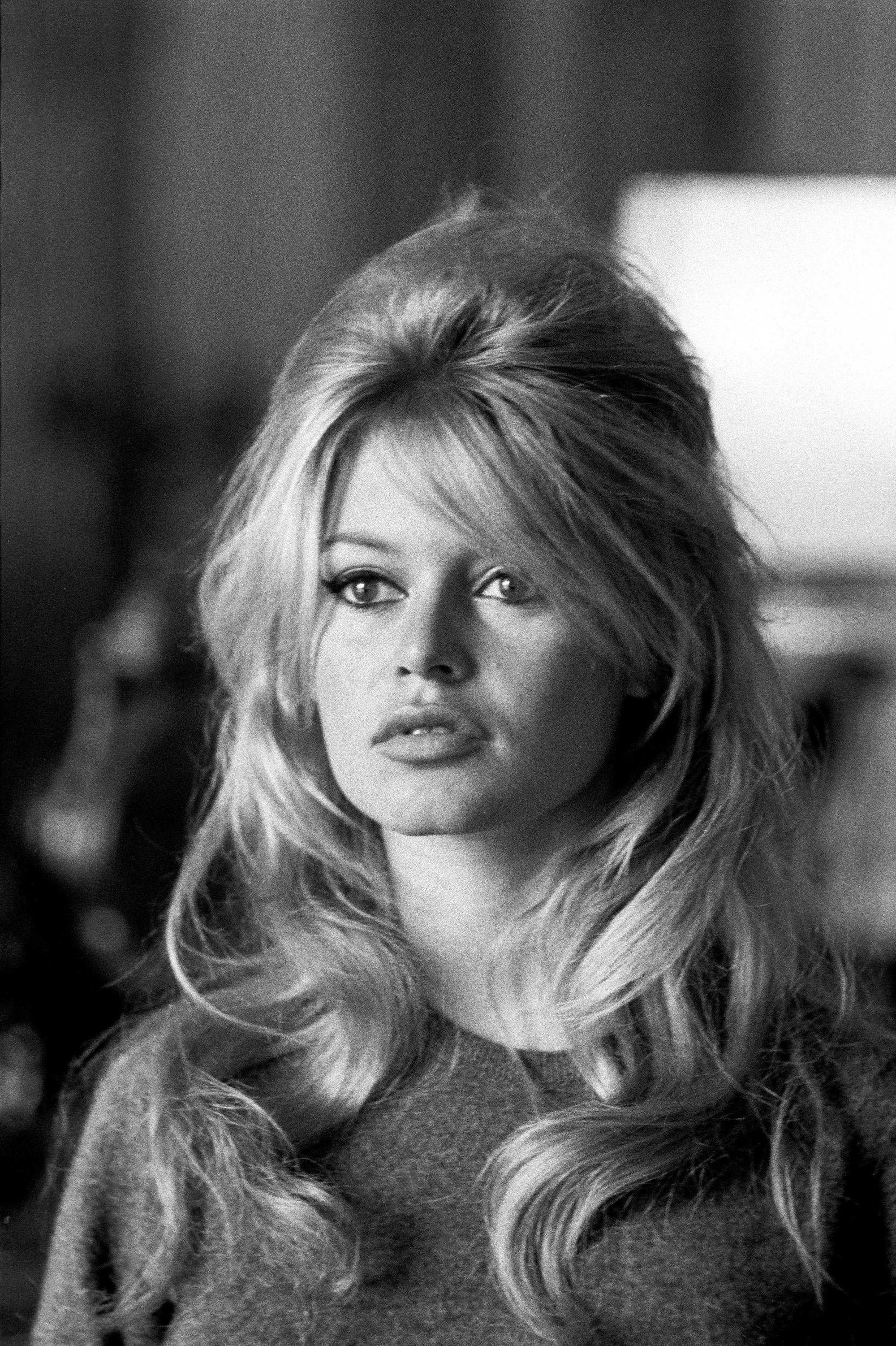 brigitte bardot with a curly half up half down hairstyle