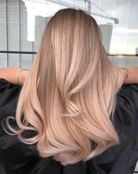 Balayage long hair: Back view of a woman with long pinky rose gold balayage hair with curled ends