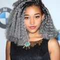close up shot of amandla stenberg with silver grey hair crochet hairstyle