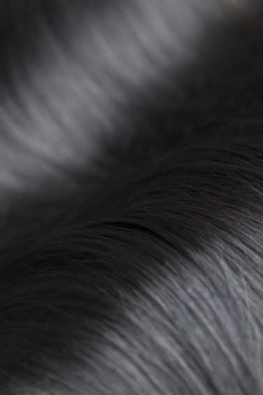 Hair porosity how to tell if low or high porosity hair close up of black shiny hair