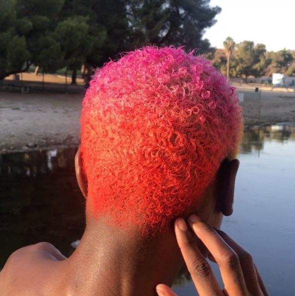 back view of short block colour afro