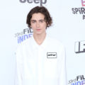 actor Timothée Chalamet with his signature dark textured medium hair