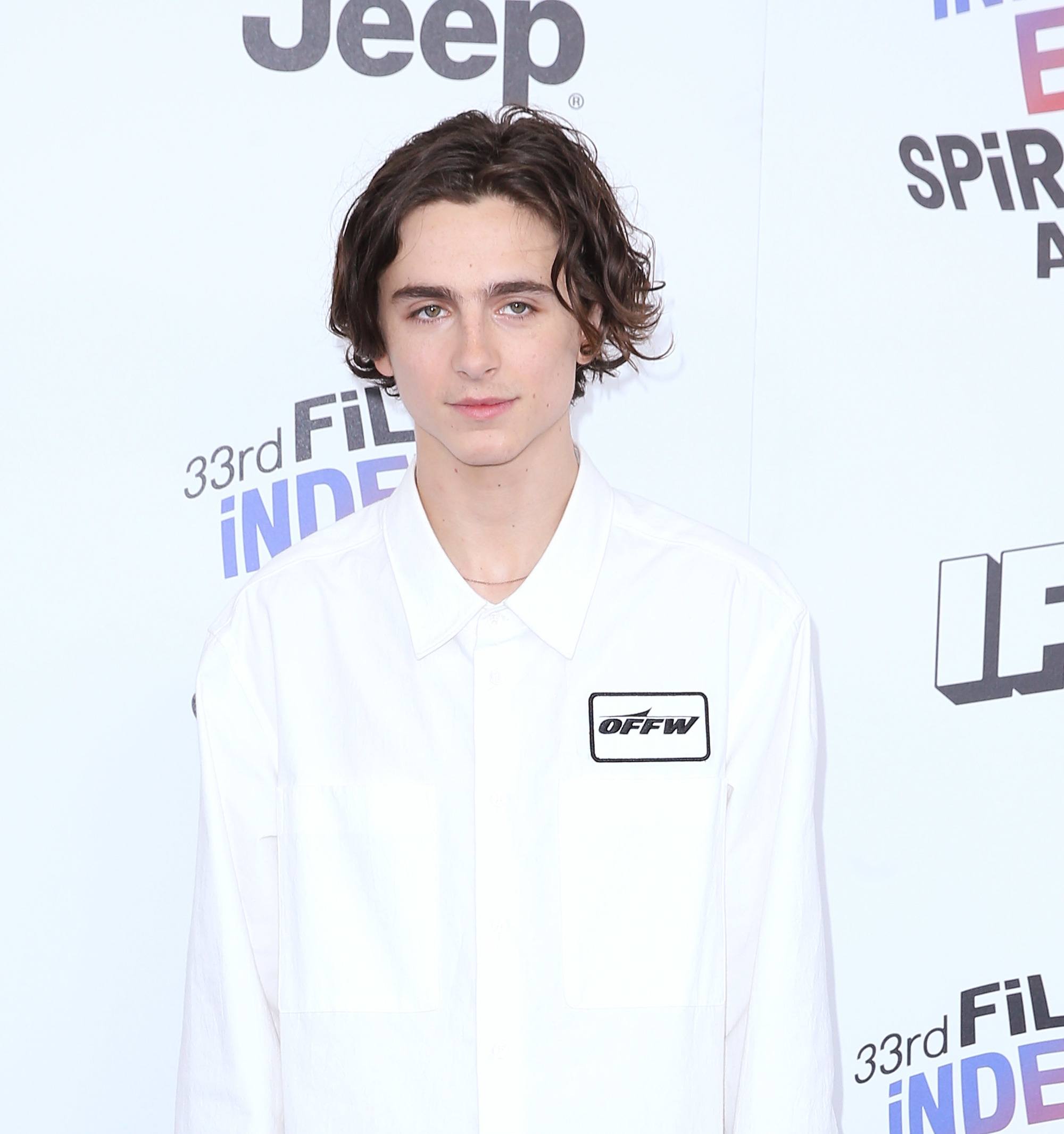 actor Timothée Chalamet with his signature dark textured medium hair