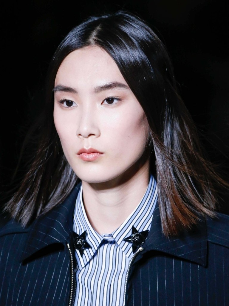 Asian hairstyles: Asian model with fine straight dark brown long bob.