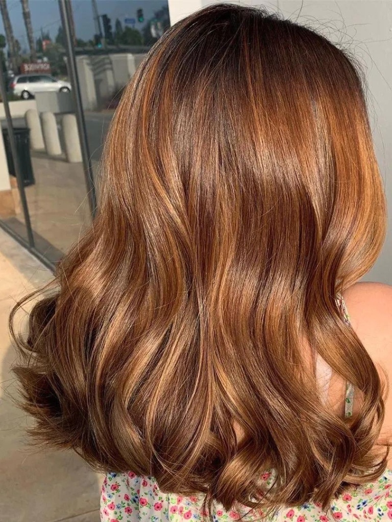 dark chestnut brown hair color