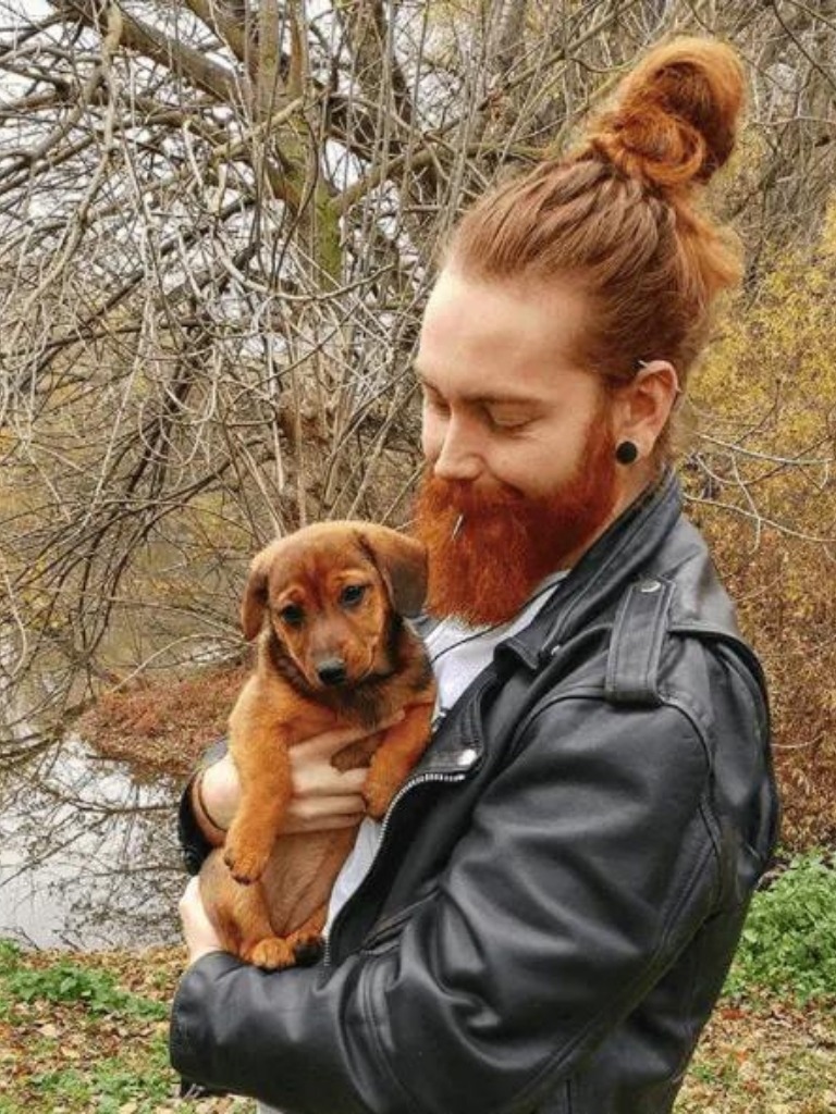 front view of a man with red hair in a top knot with a full beard holding a puppy