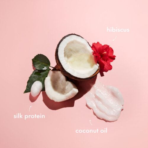 A graphic representation of coconut oil, silk protein and hibiscus on a light pink background