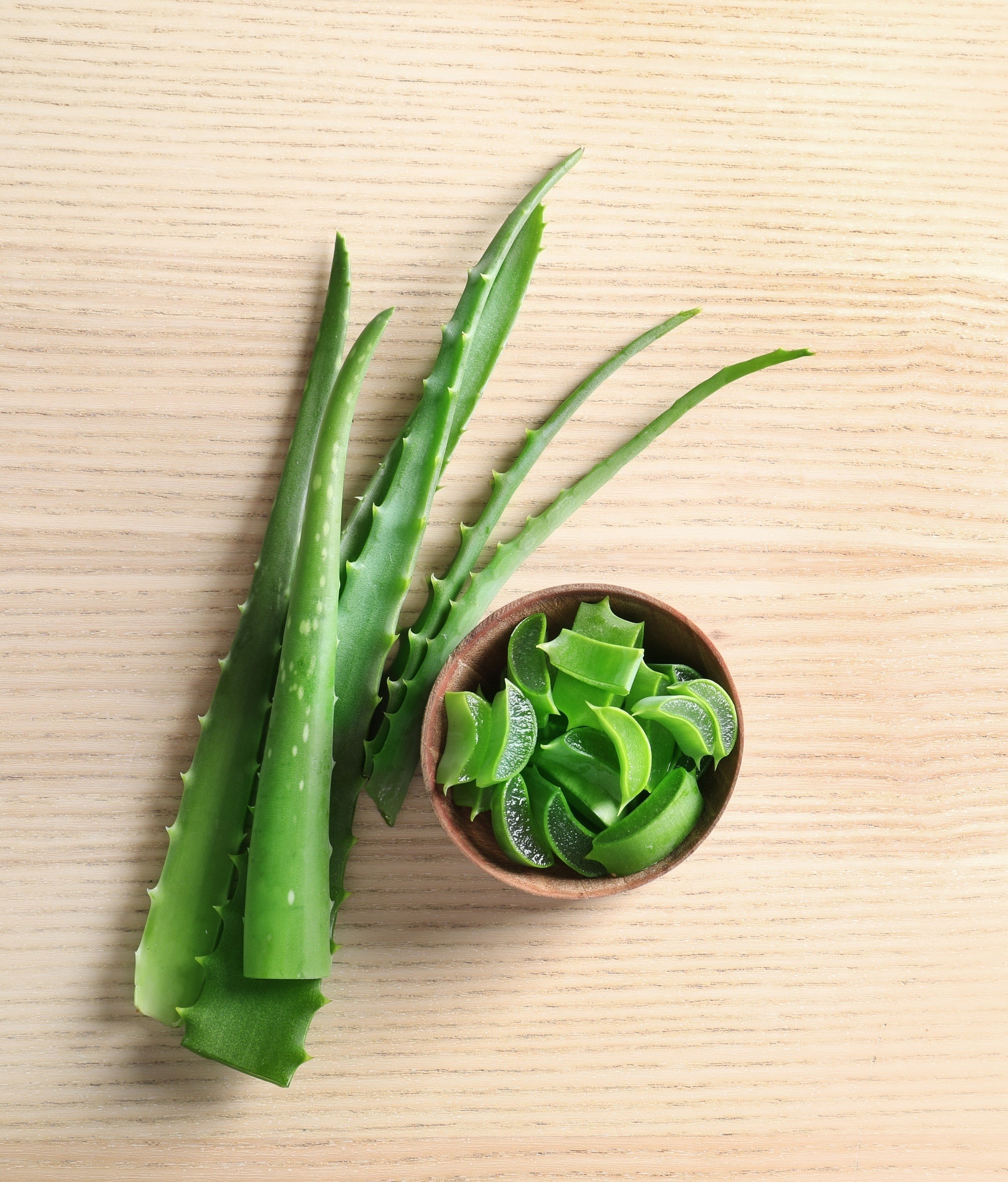 Flatlay of aloe vera leaf as hair growing remedy