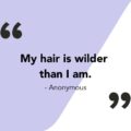 Messy hair quote that says, “My hair is wilder than I am.”