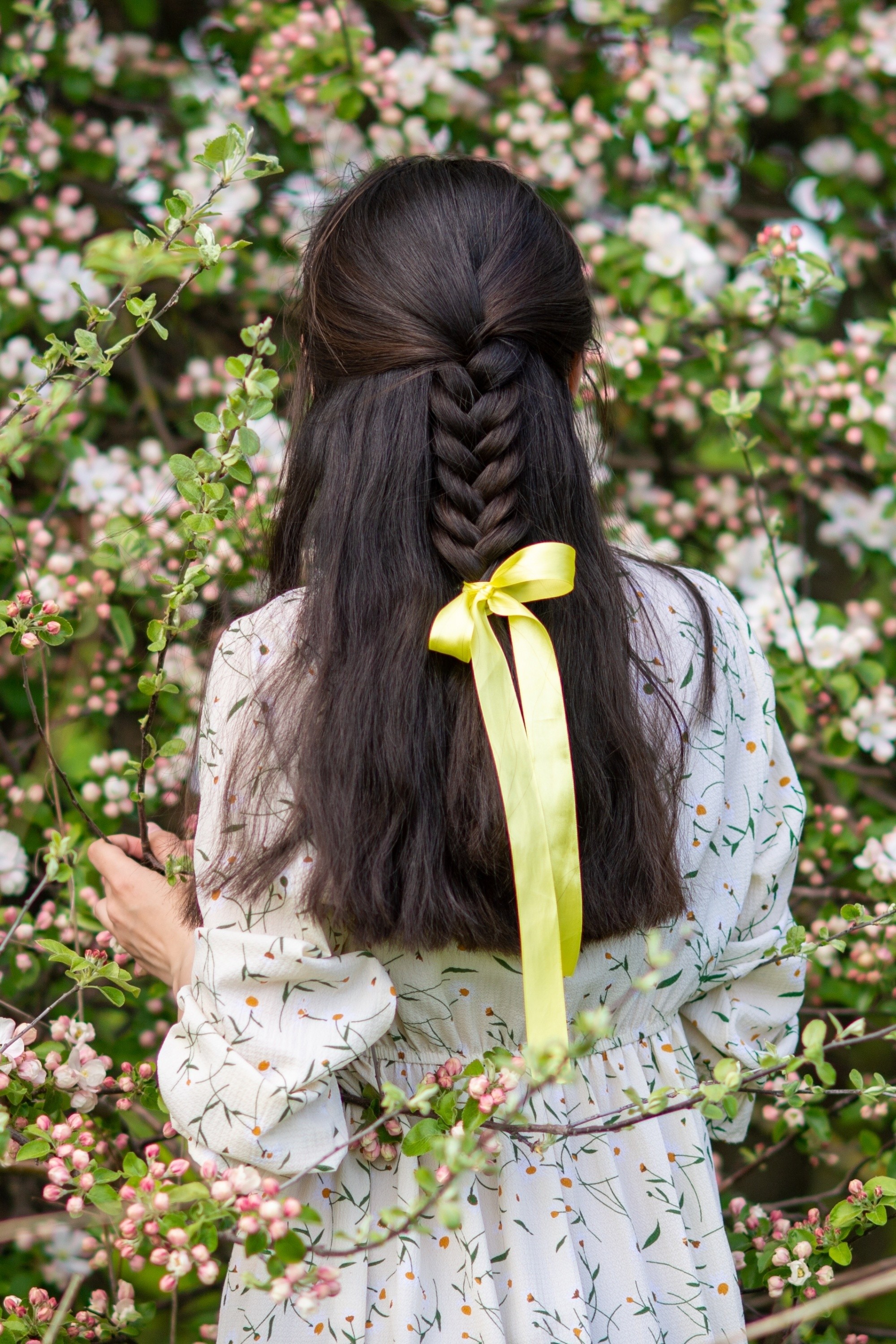 Back of a woman with a half-up braid hairstyle