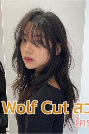 Wolf cut cover